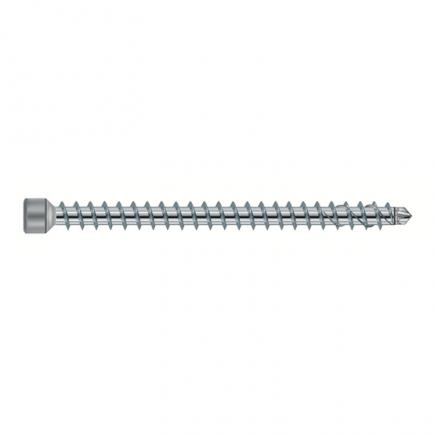 FISCHER Torx white galvanized screw with cylindrical head and full thread FPF-ZTN ZPF - 1