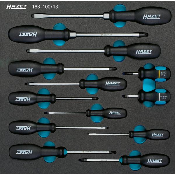 Hazet 163-100/13 Juego de destornilladores con inserto de bandeja de  herramientas (13 piezas)